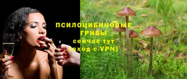 Альфа ПВП Верхнеуральск