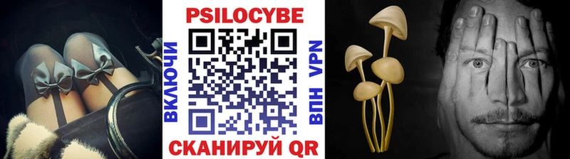 ссылка на мегу ССЫЛКА  Заинск  Псилоцибиновые грибы мухоморы 